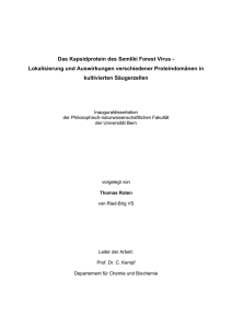 Das Kapsidprotein des Semliki Forest Virus