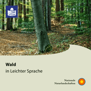 Wald - Ungehindert engagiert