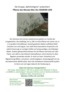 Die Gruppe „Bahnhofsgrün“ präsentiert: Pflanze des Monats Mai