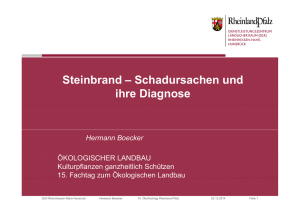 Steinbrand - Kompetenzzentrum Ökologischer Landbau Rheinland