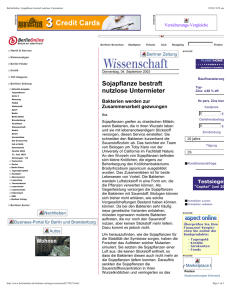 Sojapflanze bestraft nutzlose Untermieter