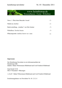 heimbiotop-newsletter Nr. 45 / Dezember 2011