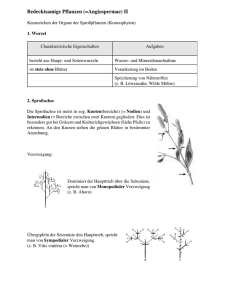 Bedecktsamige Pflanzen (=Angiospermae) II - doc