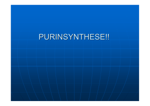 purinsynthese!! - Biochemie Trainingscamp