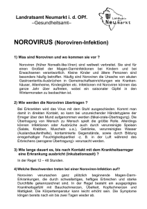NOROVIRUS (Noroviren-Infektion)