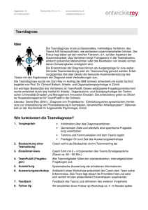 Teamdiagnose Teamdiagnose Idee Wie funktioniert die