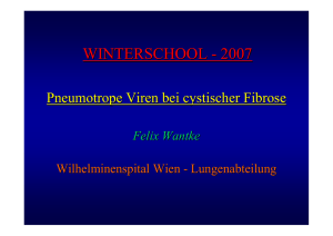 winterschool - 2007