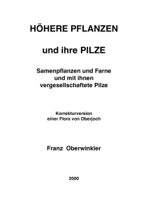 Oberjochflora - Franz Oberwinkler