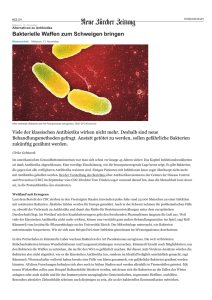 Alternativen zu Antibiotika: Bakterielle Waffen zum Schweigen