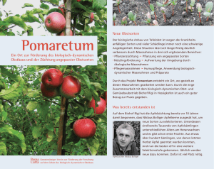 Pomaretum - Poma Culta