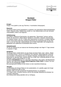 Merkblatt Denguefieber - Schwarzwald-Baar