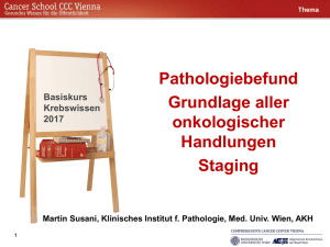 Histologie/Staging