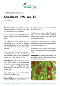 Chinabeere «Wu-Wie-Zi»