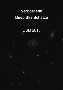 DSM 2015 - Reiner Vogel