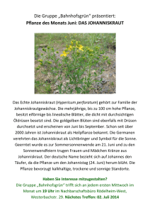Die Gruppe „Bahnhofsgrün“ präsentiert: Pflanze des Monats Juni