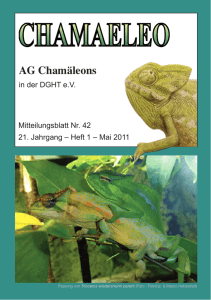 Chamaeleo 42 - Website der AG Chamäleons
