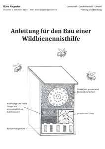 Bauanleitung_Wildbienennisthilfe