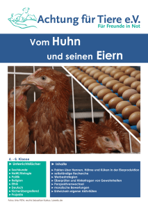 Vom Huhn und seinen Eiern