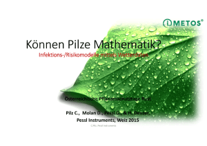 Können Pilze Mathematik?