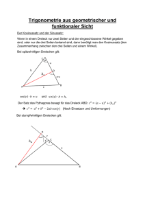 Trigonometrie aus geometrischer und funktionaler Sicht