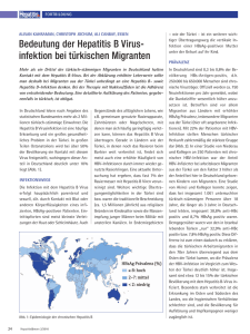 Bedeutung der Hepatitis B Virus- infektion bei türkischen Migranten