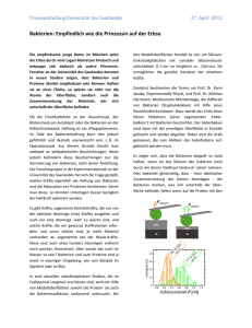 Pressemitteilung Universität des Saarlandes