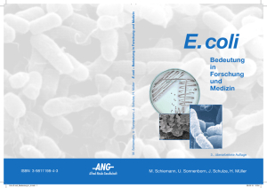 E. coli - Alfred-Nissle