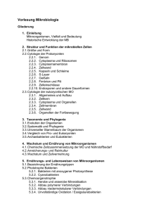Gliederung der Vorlesung (PDF | 12 KB)