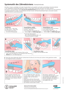 Systematik des Zähnebürstens