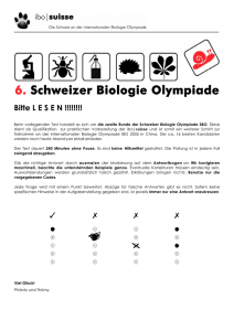 Zweite Runde 2005