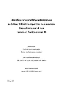 Identifizierung und Charakterisierung zellulärer Interaktionspartner