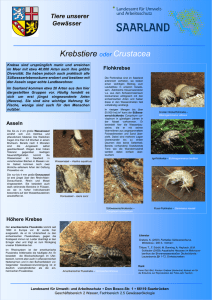 Krebstiere oder Crustacea (PDF, 0,91 MB )