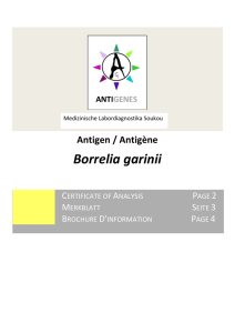 Borrelia garinii - Medizinische Labordiagnostika