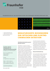 Miniaturisierte Biosensoren zur optischen und