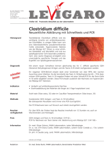 Clostridium difficile - Neuzeitliche Abklärung mit Schnelltests und PCR