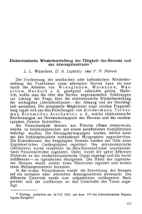 Wassiliew L.L., Lapitzky D.A., Petrow F.P. Elektrotonische