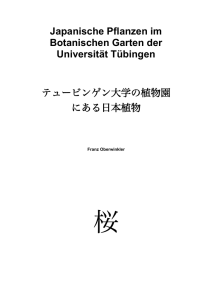 Japan Pflanzen-2007.c