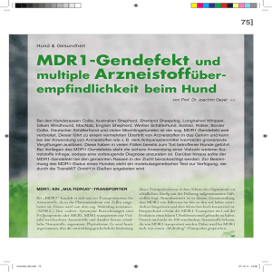 MDR1-Gendefekt und multiple