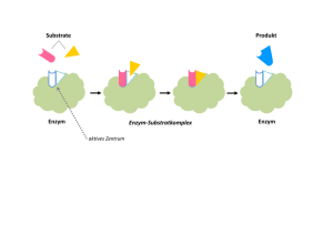 Enzym Enzym-Substratkomplex Enzym Substrate Produkt