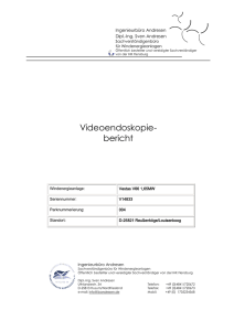 Videoendoskopie- bericht