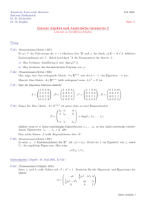 Lineare Algebra und Analytische Geometrie 2, Lehramt an