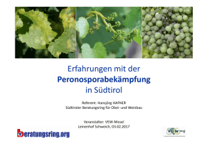 Erfahrungen mit der Peronosporabekämpfung in Südtirol