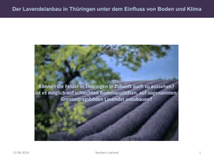 Lavendelanbau in Thüringen unter Berücksichtigung von