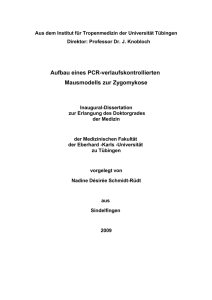 Aufbau eines PCR-verlaufskontrollierten Mausmodells zur