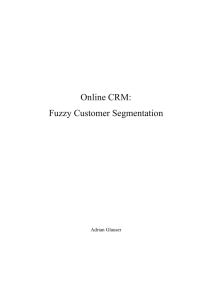 Online CRM: Fuzzy Customer Segmentation - Diuf