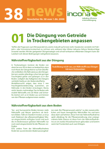 Newsletter als PDF zum Drucken