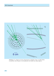 ZEUS Experiment Abbildung 16: Ereignis mit einem rekonstruierten