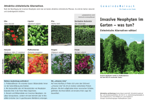 Invasive Neophyten im Garten – was tun?