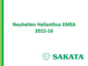 Neuheiten Helianthus EMEA 2015-16 - premium