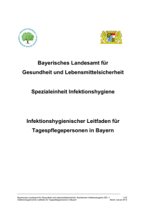 Infektionshygienischer Leitfaden für Tagespflegepersonen in Bayern